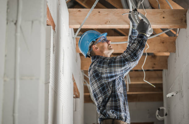 Best Electric Panel Repair  in Smithton, IL